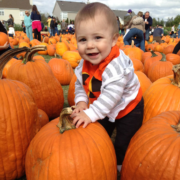 pumpkin picking