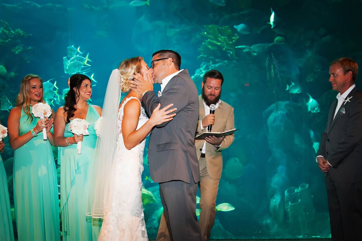 aquarium wedding