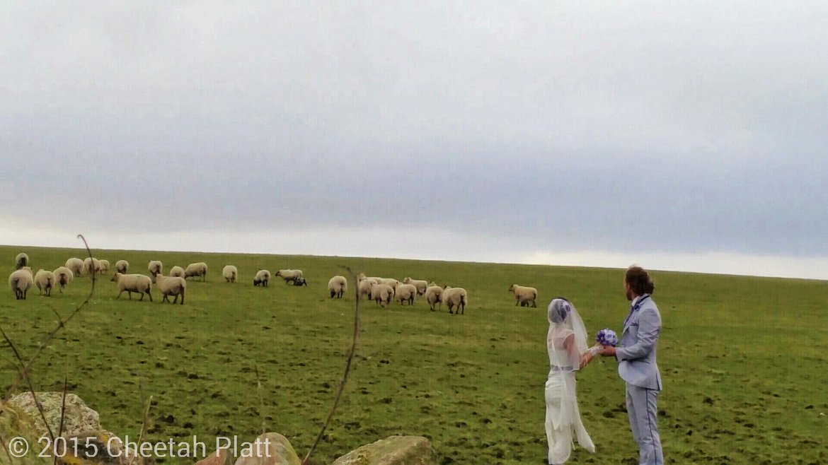 farmers oshaughnessys field baltinglass ireland