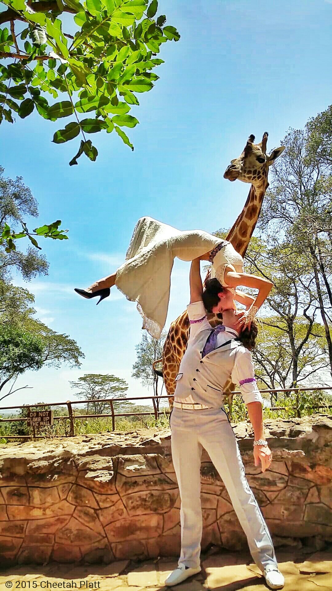 giraffe center nairobi kenya