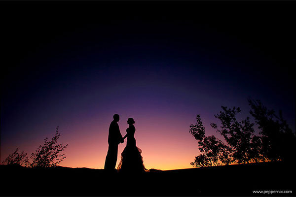 silhouette photo of bride and groom