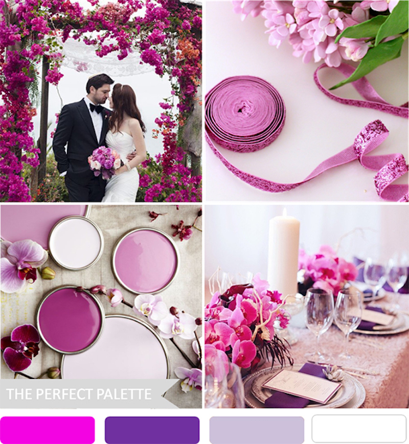 Pink and Purple Shades Color Palette