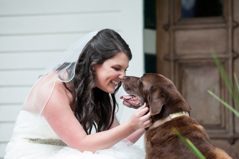 bride with dog