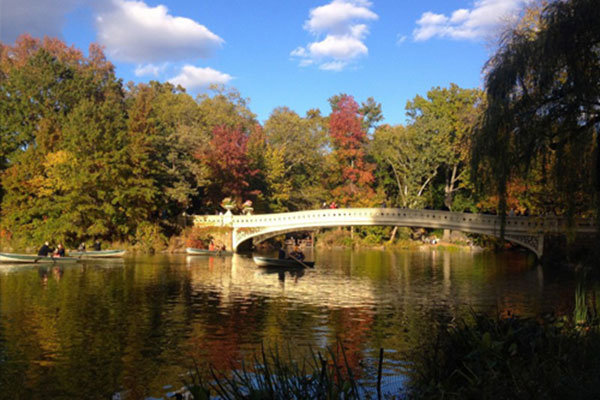 bow bridge