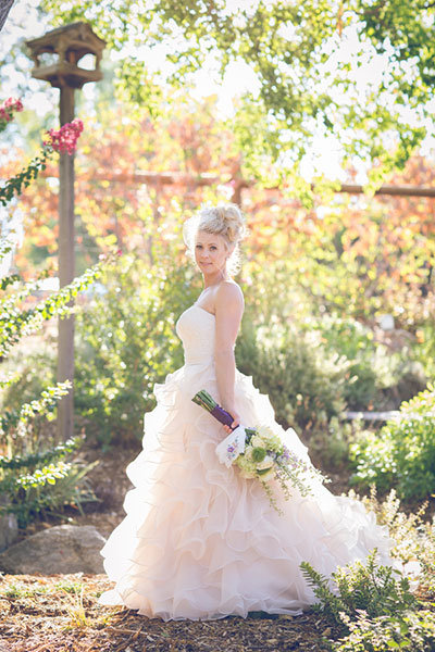 birdcage veil