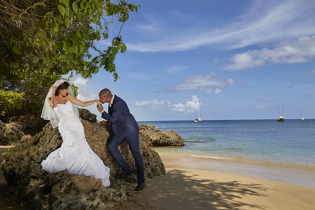 Mount Irvine Bay Resort Mount Irvine Bay Resort