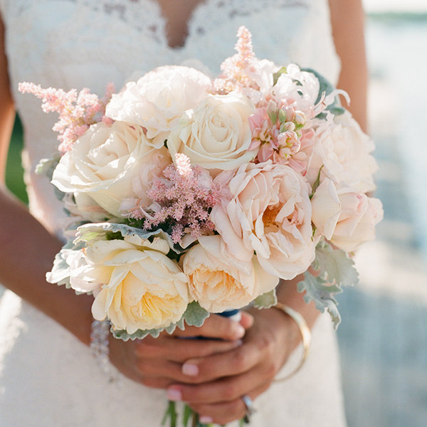 Plucked-from-the-Garden Appeal