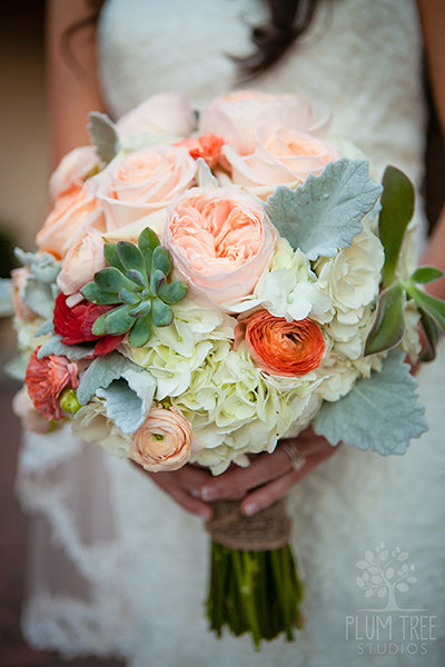 Plucked-from-the-Garden Appeal