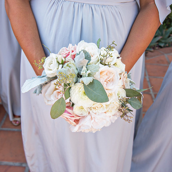 Plucked-from-the-Garden Appeal