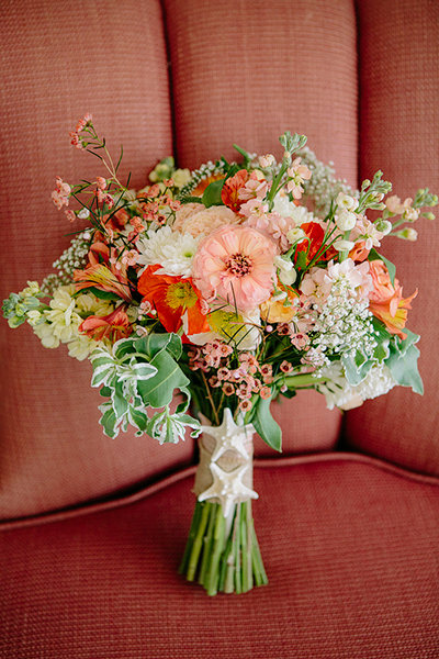 Seashells & Starfish