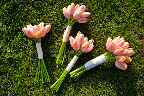 Plucked-from-the-Garden Appeal