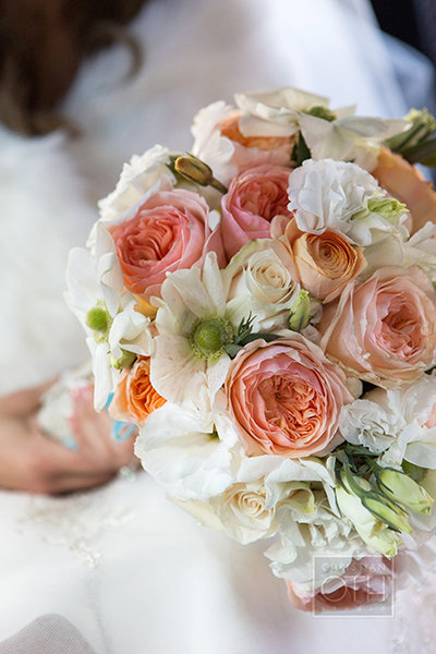 Plucked-from-the-Garden Appeal