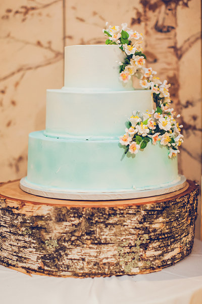 Petal Pushers Petal Pushers