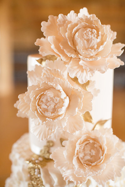 Petal Pushers Petal Pushers