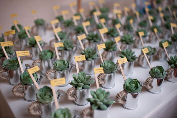 Escort Card Displays With Potted Plants