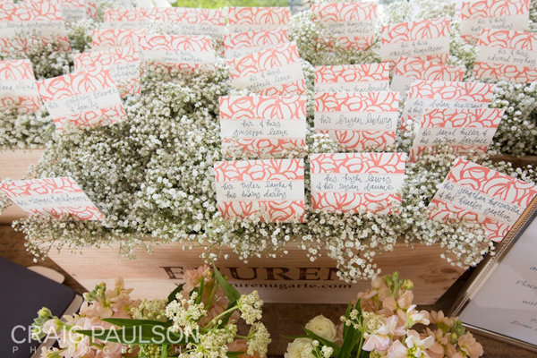 Color Crazed Color Crazed