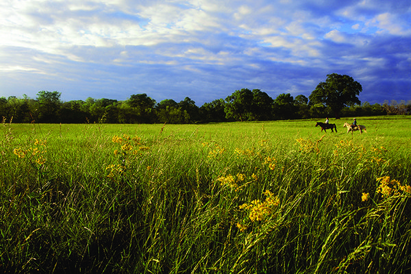 The Inn at Dos Brisas, Texas