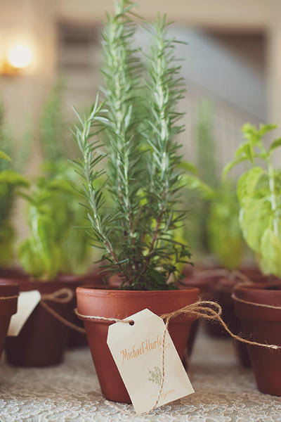 Escort & Table Cards