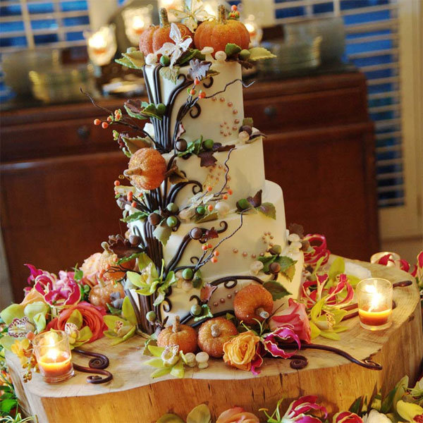 Cake Cake