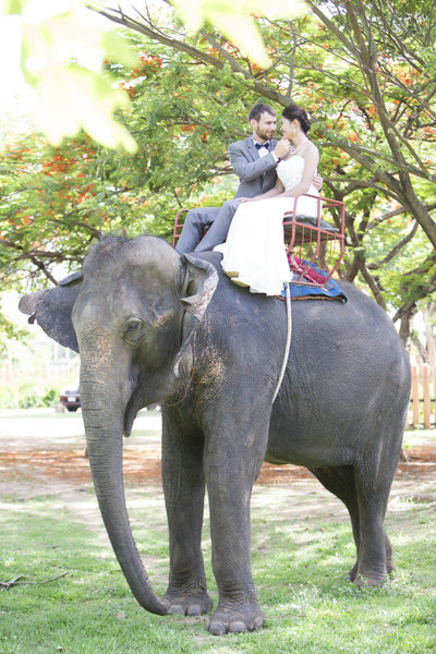 Elephant Ride