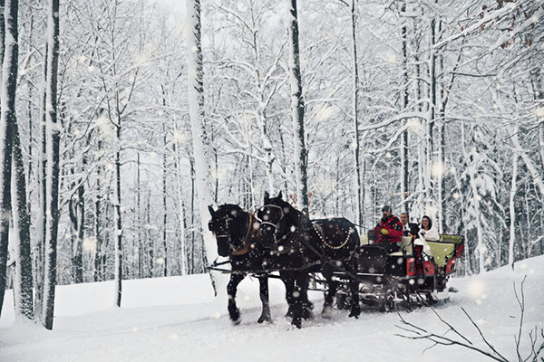 Transportation Ideas