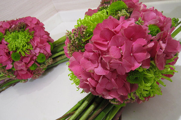 Splurge: Hydrangea Splurge: Hydrangea