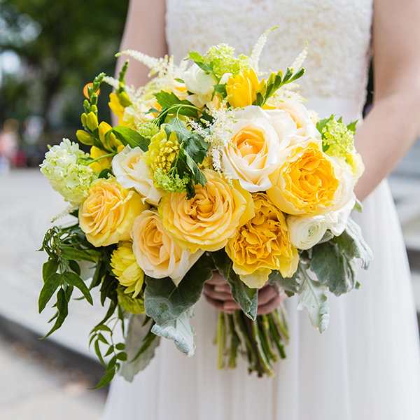 Save: Garden Roses Save: Garden Roses