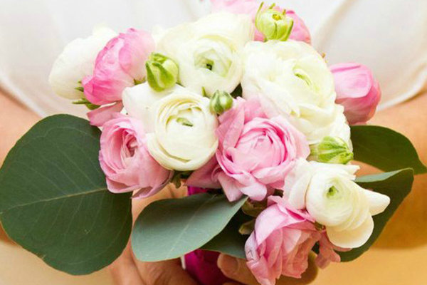 Save: Ranunculus Save: Ranunculus
