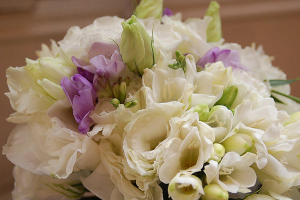 Save: White Freesia Save: White Freesia
