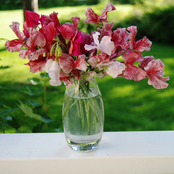 Save: Sweet Peas Save: Sweet Peas