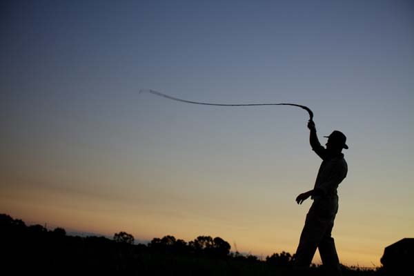 Indiana Jones Indiana Jones