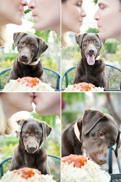 Lady and the Tramp Lady and the Tramp