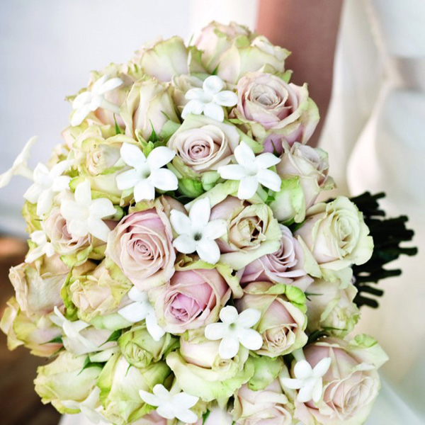 Bridal Bouquet Bridal Bouquet
