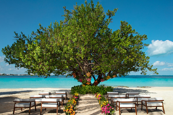 Dreams Resorts & Spas Dreams Resorts & Spas