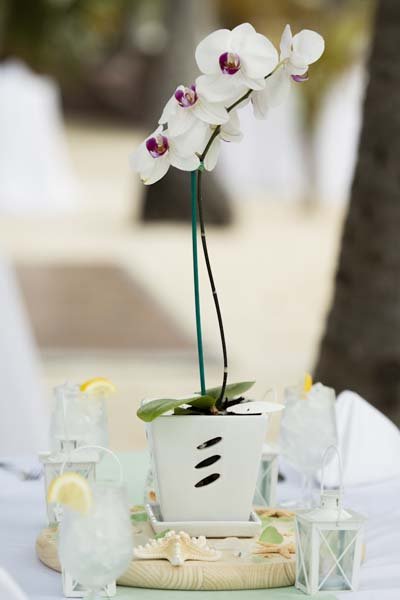 Centerpiece Centerpiece