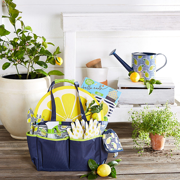 New Hobby: Gardening