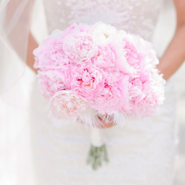 Bridal Bouquet Bridal Bouquet