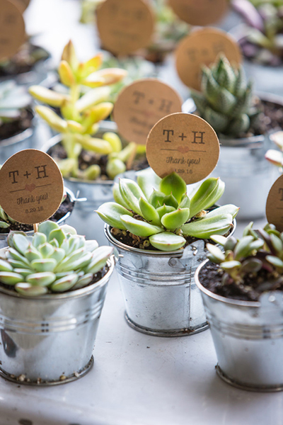 Favors: Succulents