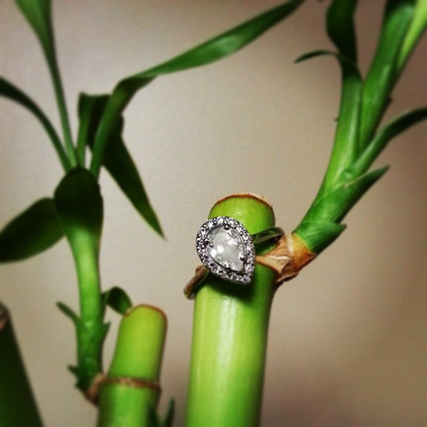 Halo Engagement Ring From Alex Wolfe Halo Engagement Ring From Alex Wolfe