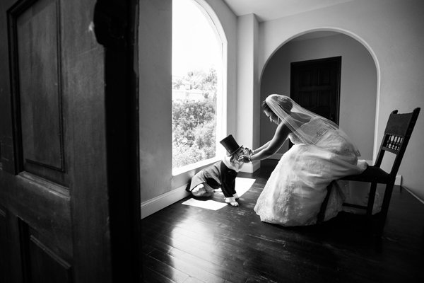 Including the Family Pet