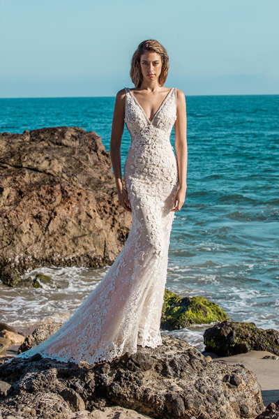 Calla Blanche Calla Blanche