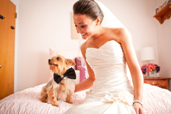 Including the Family Pet