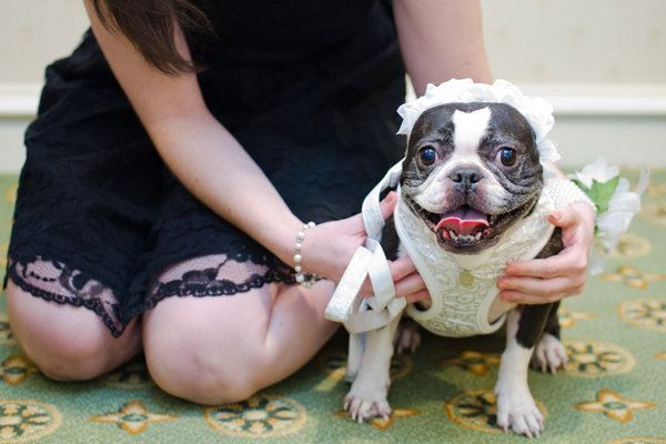 Including the Family Pet