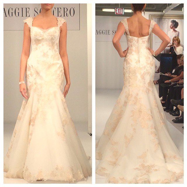 Hot New Gowns  from the Chicago  Bridal  Runway Shows 