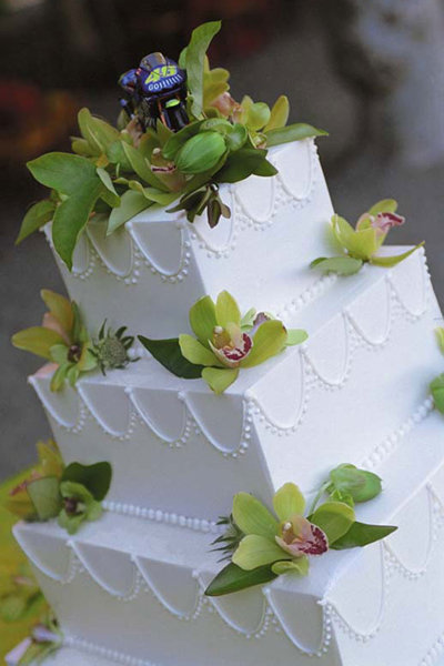 Cake Cake