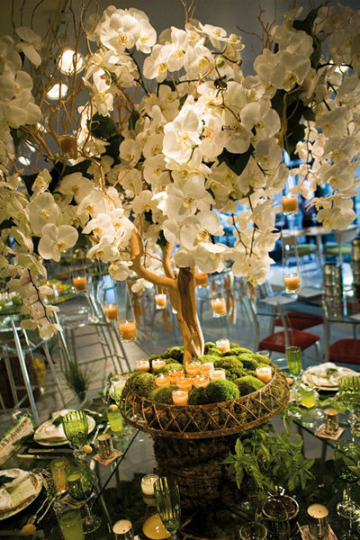 Centerpiece Centerpiece