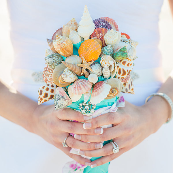 Seashells & Starfish