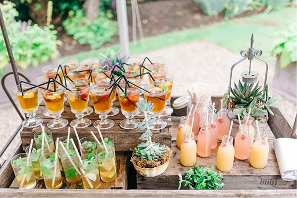 Succulents Succulents