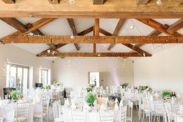 Twinkle Lights Twinkle Lights