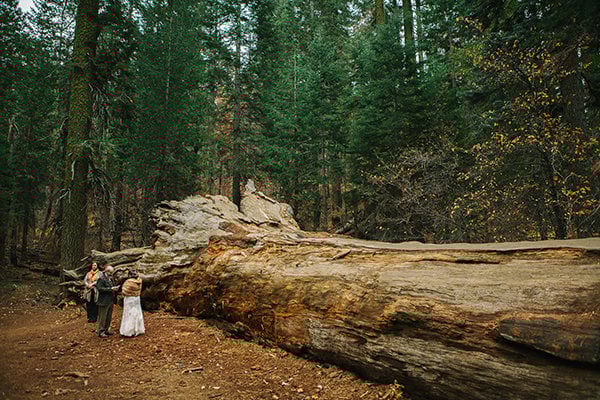 Yosemite National Park